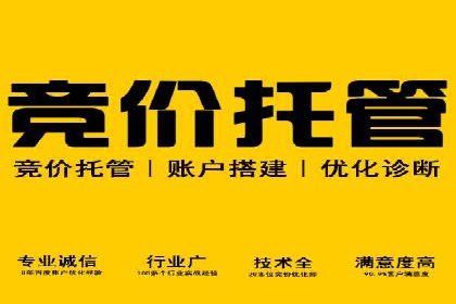 关键词竞价排名实战案例分析